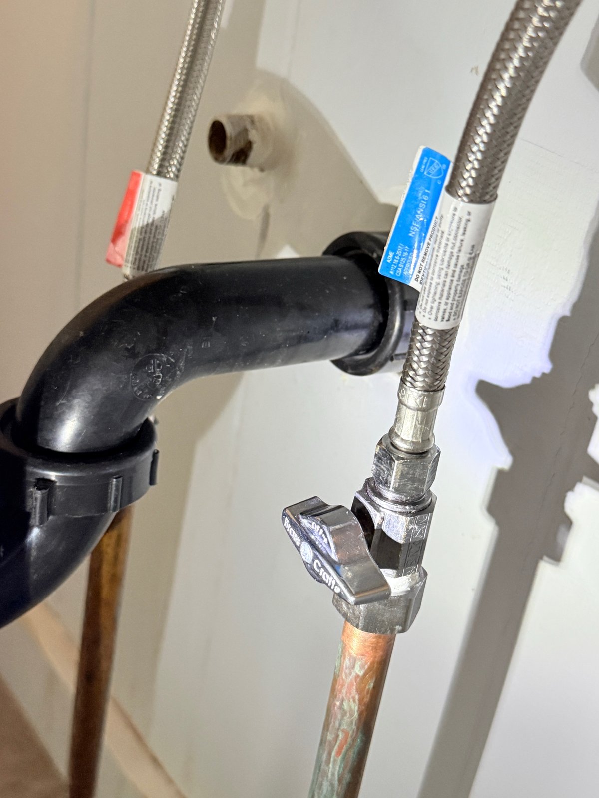 Documented under-sink P-trap, wall drain, shut-off valve, and braided supply connection.